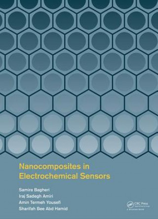 Livre Nanocomposites in Electrochemical Sensors Samira Bagheri