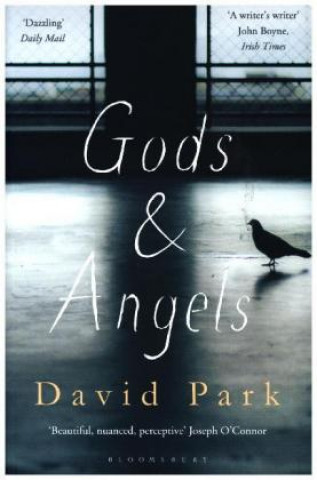 Книга Gods and Angels David Park
