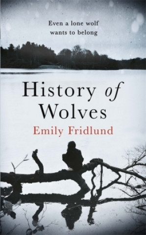 Könyv History of Wolves Emily Fridlund