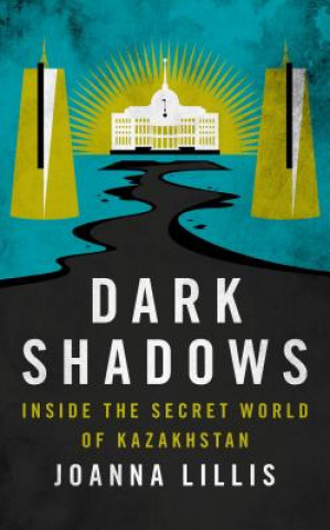 Kniha Dark Shadows Joanna Lillis
