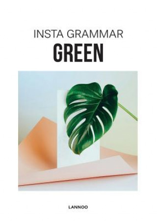 Kniha Insta Grammar: Green Irene Schampaert