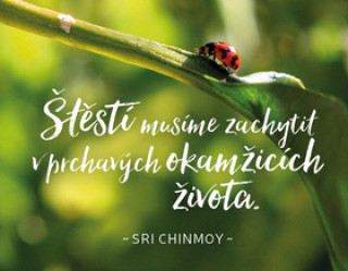 Kniha Štěstí musíme zachytit v prchavých okamžicích života Sri Chinmoy