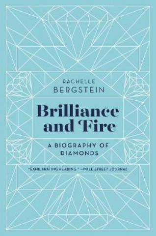 Книга Brilliance and Fire Rachelle Bergstein