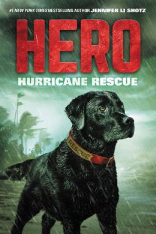 Книга Hero: Hurricane Rescue Jennifer Li Shotz