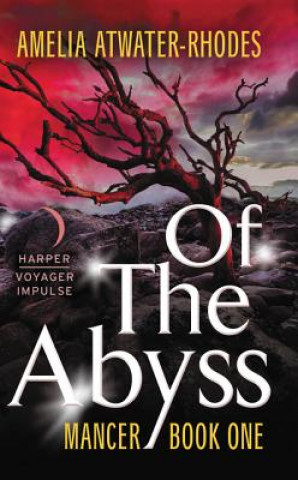 Książka Of the Abyss: Mancer, Book One Amelia Atwater-Rhodes