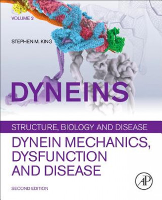 Buch Dyneins Stephen King