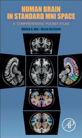 Kniha Human Brain in Standard MNI Space Juergen Mai