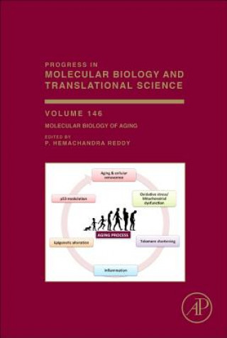 Buch Molecular Biology of Aging PHemachandra Reddy