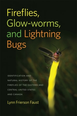 Könyv Fireflies, Glow-Worms, and Lightning Bugs Lynn Frierson Faust