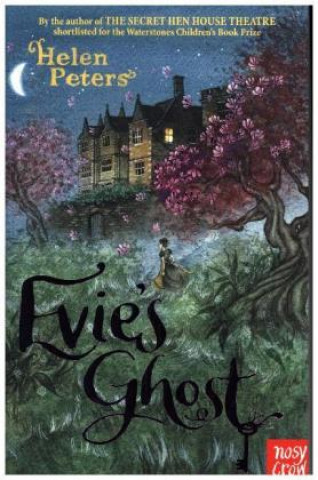 Book Evie's Ghost Helen Peters