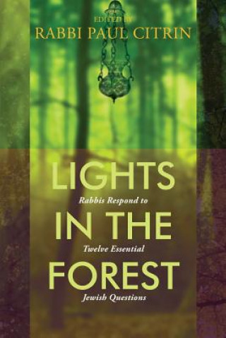 Book LIGHTS IN THE FOREST Paul Citrin