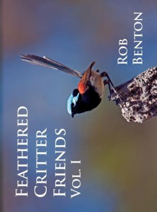 Book Feathered Critter Friends Vol. I Rob Benton