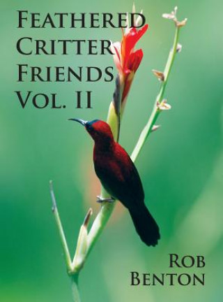 Book Feathered Critter Friends Vol. II Rob Benton