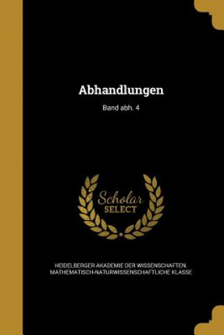 Kniha GER-ABHANDLUNGEN BAND ABH 4 Heidelberger Akademie Der Wissenschaften