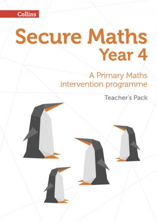 Kniha Secure Year 4 Maths Teacher's Pack Paul Hodge