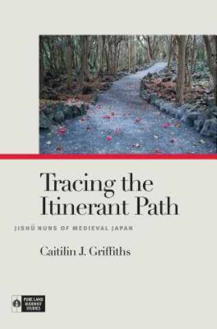 Knjiga Tracing the Itinerant Path Caitilin J. Groffoths