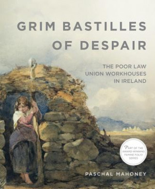 Kniha Grim Bastilles of Despair: The Poor Law Union Workhouses in Ireland Paschal Mahoney