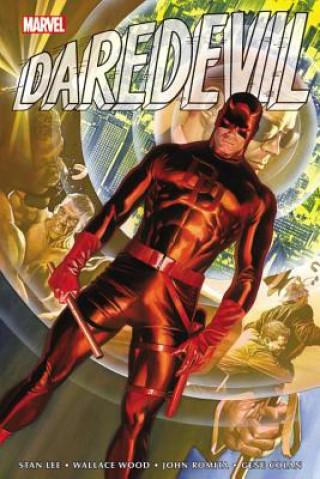 Carte Daredevil Omnibus Vol. 1 Stan Lee