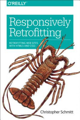 Książka Responsively Retrofitting Christopher Schmitt