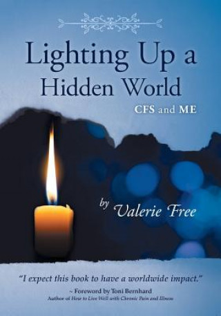 Kniha Lighting Up a Hidden World VALERIE FREE