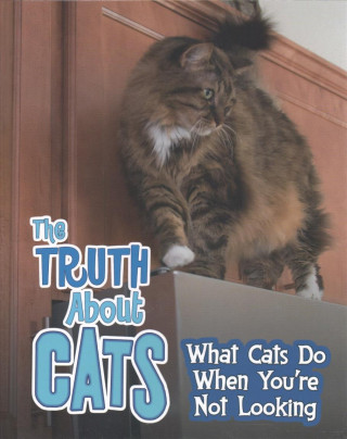 Kniha Truth about Cats COLSON  MARY