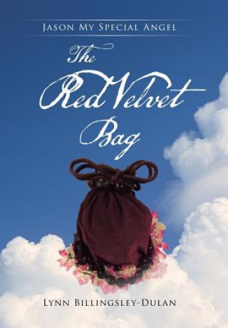 Книга Red Velvet Bag L BILLINGSLEY-DULAN