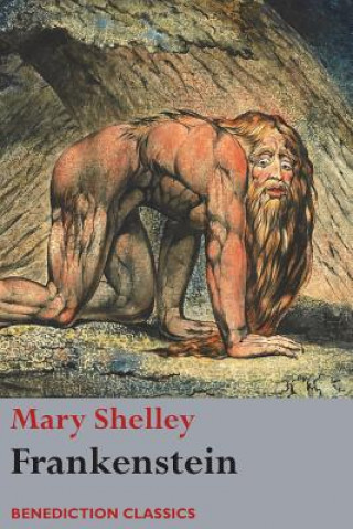 Книга Frankenstein; or, The Modern Prometheus MARY WOLLST SHELLEY