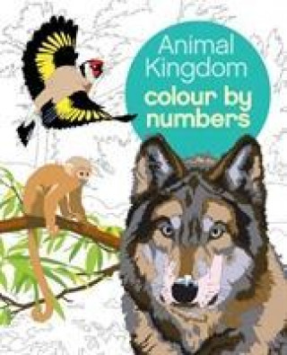 Könyv Animal Kingdom Colour by Numbers Martin (Illustrator) Sanders