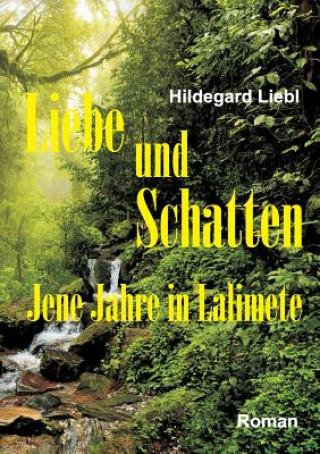 Buch Liebe und Schatten HILDEGARD LIEBL