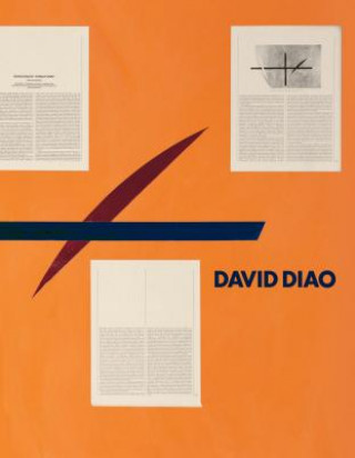 Könyv David Diao Philip Tinari