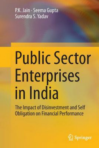 Könyv Public Sector Enterprises in India P.K. Jain