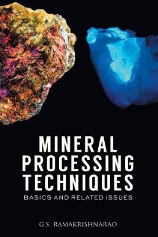 Kniha Mineral Processing Techniques Basics and Related Issues G.S.RAMAKRISHNA RAO