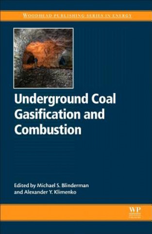 Kniha Underground Coal Gasification and Combustion Alexander Klimenko