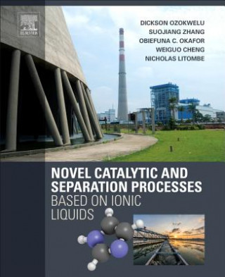 Kniha Novel Catalytic and Separation Processes Based on Ionic Liquids Dickson Ozokwelu