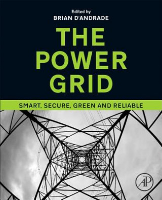 Książka Power Grid Brian D Andrade