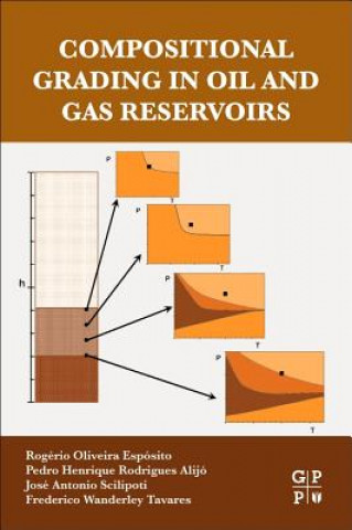 Kniha Compositional Grading in Oil and Gas Reservoirs Rogerio Oliveira Esposito