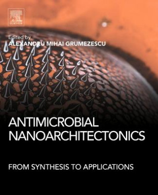 Kniha Antimicrobial Nanoarchitectonics Alexandru Grumezescu