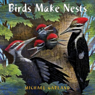 Könyv Birds Make Nests Michael Garland