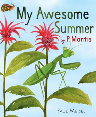 Book My Awesome Summer by P. Mantis Paul Meisel