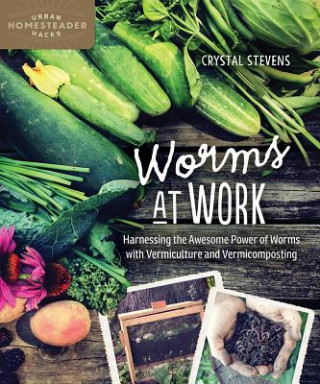 Carte Worms at Work Crystal Stevens
