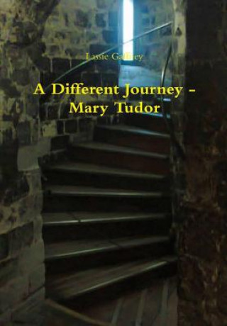 Kniha Different Journey - Mary Tudor Lassie Gaffney