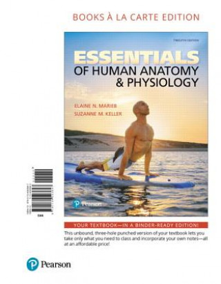 Kniha Essentials of Human Anatomy & Physiology Elaine N. Marieb
