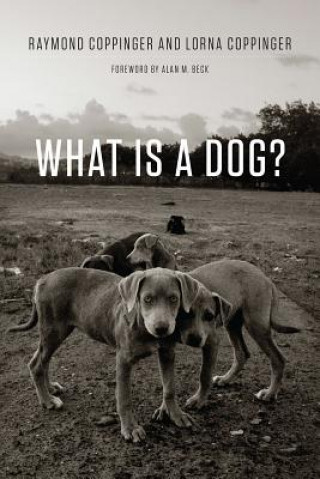 Kniha What Is a Dog? Raymond Coppinger