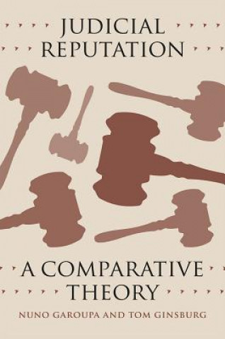 Kniha Judicial Reputation - A Comparative Theory Nuno Garoupa