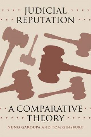 Knjiga Judicial Reputation - A Comparative Theory Nuno Garoupa