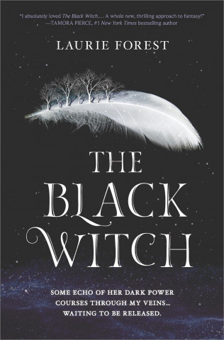 Kniha The Black Witch Laurie Forest