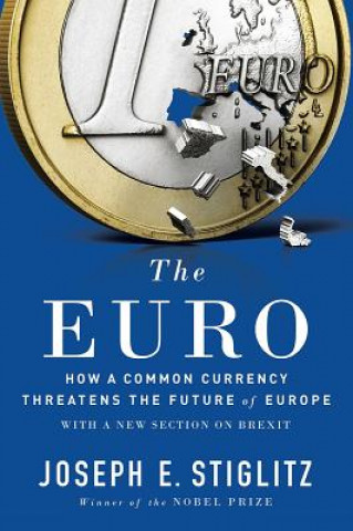 Könyv Euro Joseph E. Stiglitz