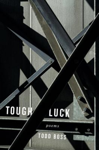 Buch Tough Luck Todd Boss