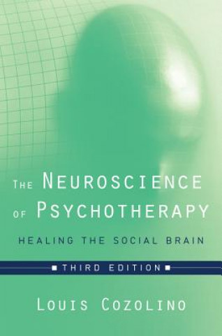 Könyv Neuroscience of Psychotherapy Louis Cozolino