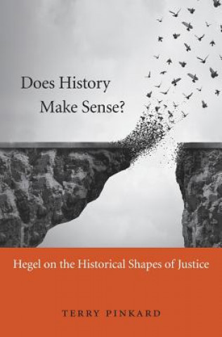 Kniha Does History Make Sense? Terry Pinkard
